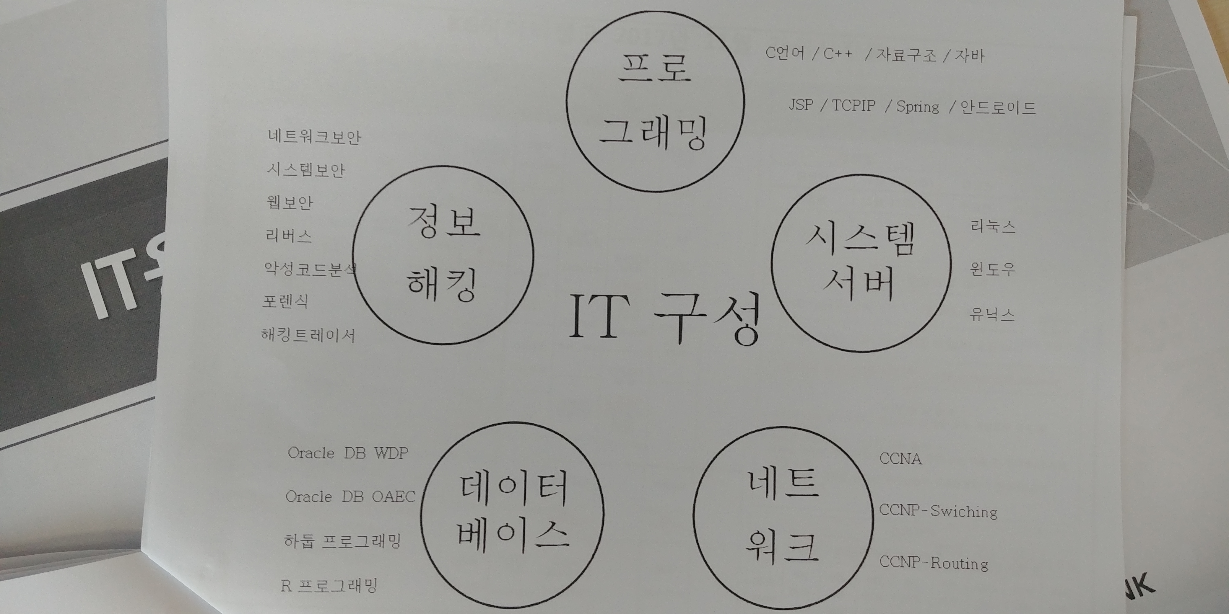 프로그래밍